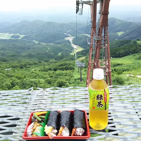 20150711 臥龍山～掛頭山～八幡湿原　芸北の軽井沢へ