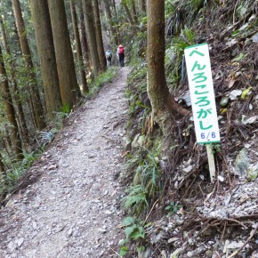 2015 10/23-25 四国遍路修業と剣山　ささゆりの会