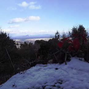 20160119 岩国城山展望台はサブかった～