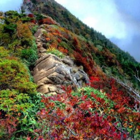 20161004 石鎚山紅葉情報　