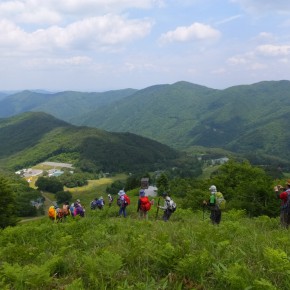 20170618 恐羅漢～旧羅漢山　梅雨の来はらぬうちにオオヤマレンゲ