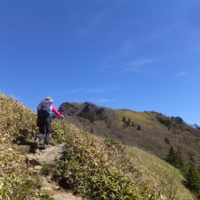 20190507-08 皿ヶ嶺・寒風山　伊予の酒池花林の山旅に心も腹も満腹(≧▽≦)