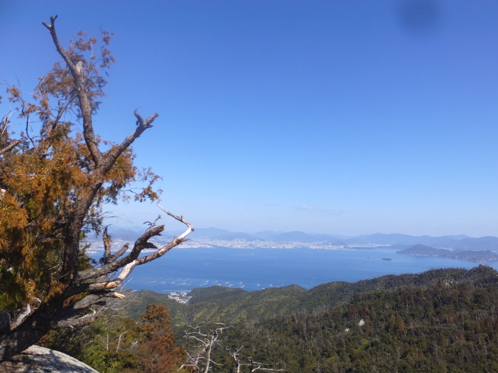 miyajima17