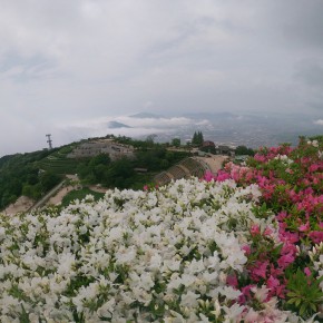 大平山周回ルート20200517 阿弥陀寺より