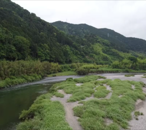 錦川の子守歌　20200601　観てるだけで眠たくなる錦川叙景