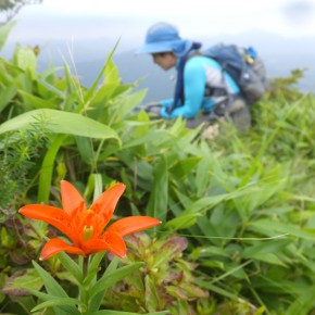 猫山(=^・^=)  20200719  　猫はいなかった…